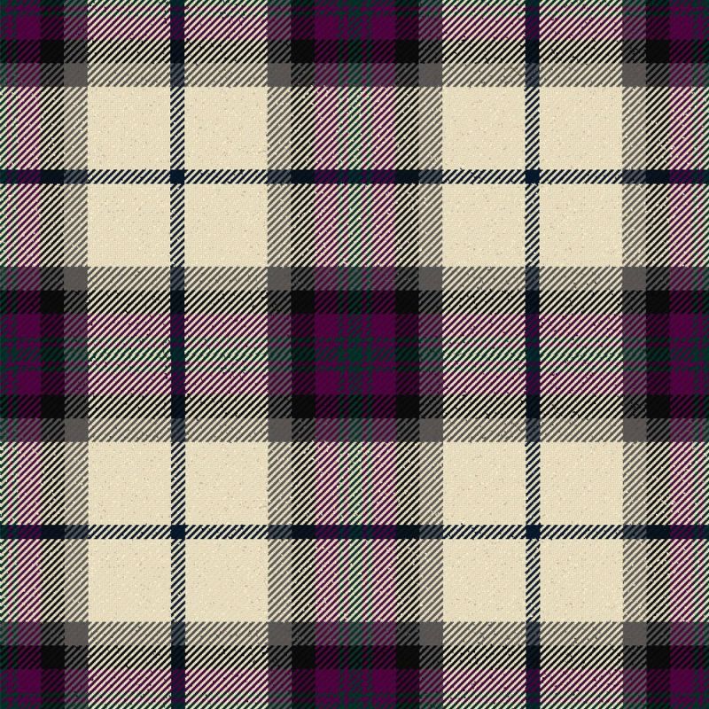 Alexander of Menstry Dress Tartan Kilt Alexander of Menstry Dress Tartan Kilt