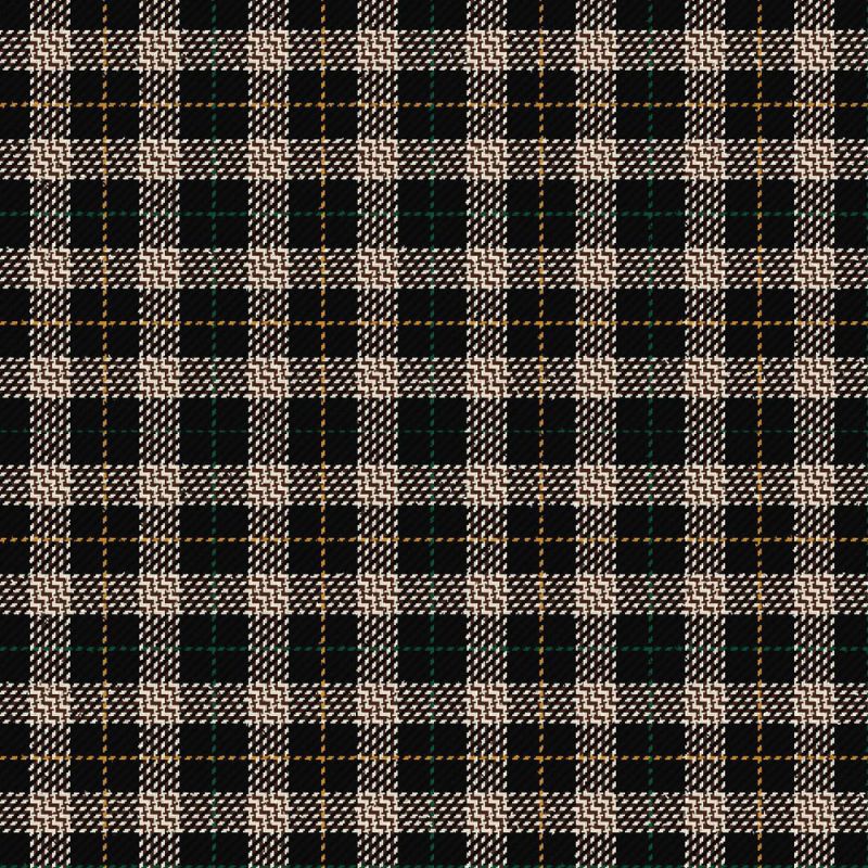 Alliance of Border Scots Tartan Kilt Alliance of Border Scots Tartan Kilt