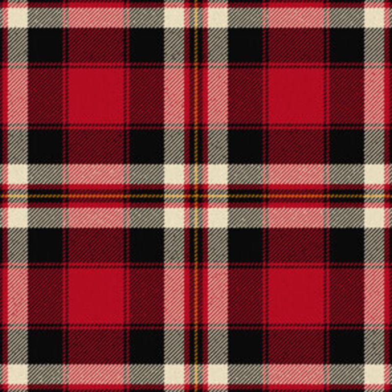 Barbecue Plaid Tartan Kilt Barbecue Plaid Tartan Kilt