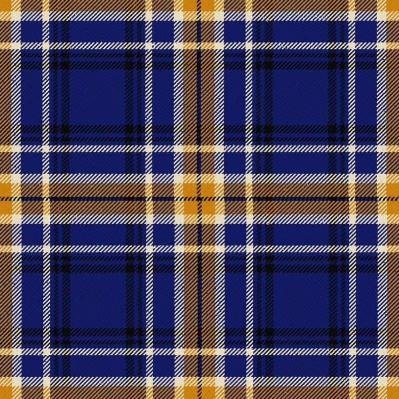 California Riverside University Tartan Kilt California Riverside University Tartan Kilt