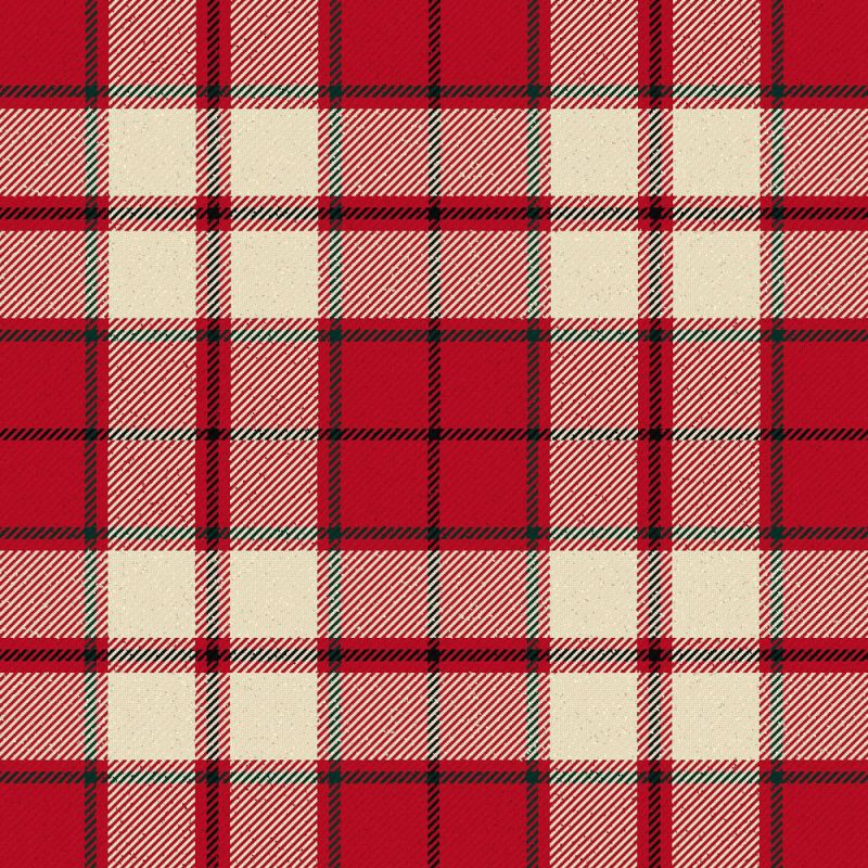 Cameron Hose Modern Tartan Kilt Cameron Hose Modern Tartan Kilt