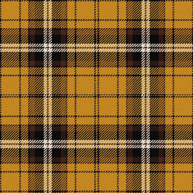 Campbell Camel Tartan Kilt Campbell Camel Tartan Kilt