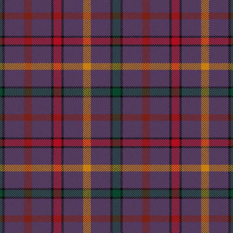 Child The Tartan Kilt Child The Tartan Kilt