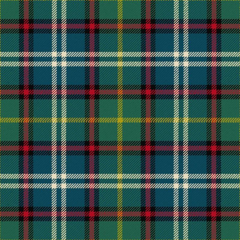 Dunedin New Zealand Tartan Kilt Dunedin New Zealand Tartan Kilt
