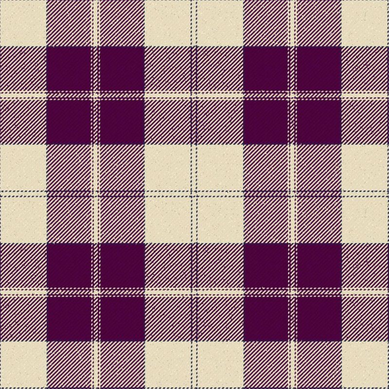 Dunlop Dress Modern Tartan Kilt Dunlop Dress Modern Tartan Kilt