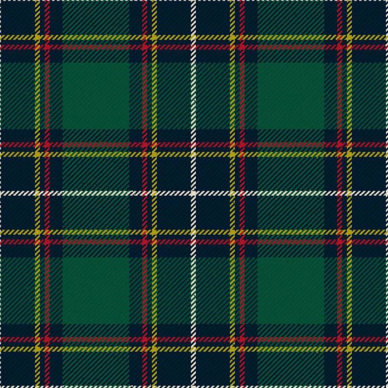 Hydesville Tower School Modern Tartan Kilt Hydesville Tower School Modern Tartan Kilt
