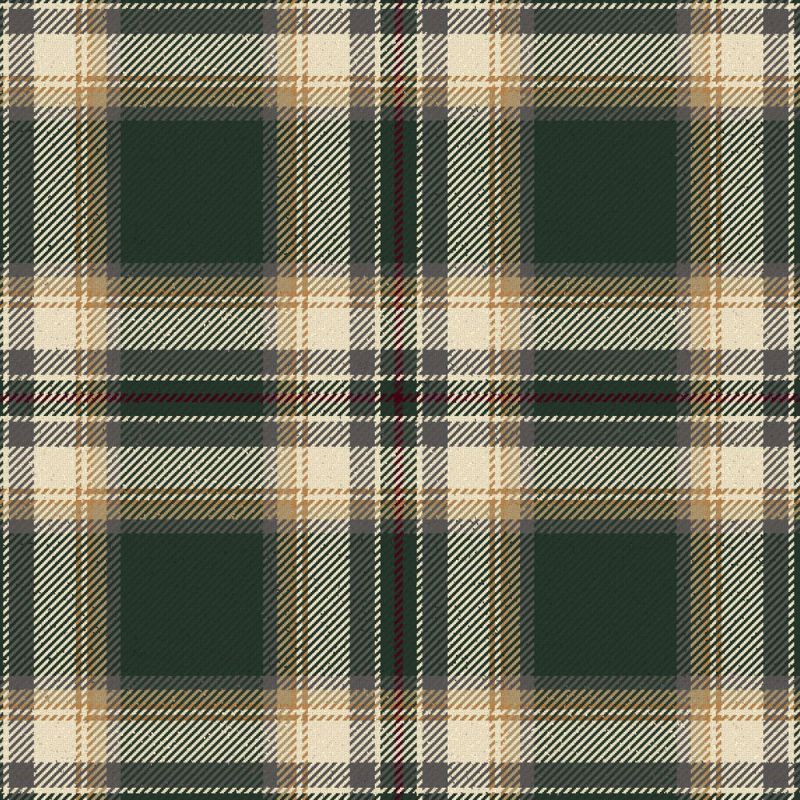 MacAleavy Ancient Tartan Kilt MacAleavy Ancient Tartan Kilt