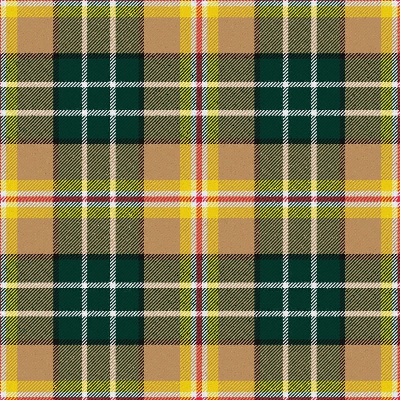 MacShane tartan kilt With Flashes MacShane tartan kilt With Flashes