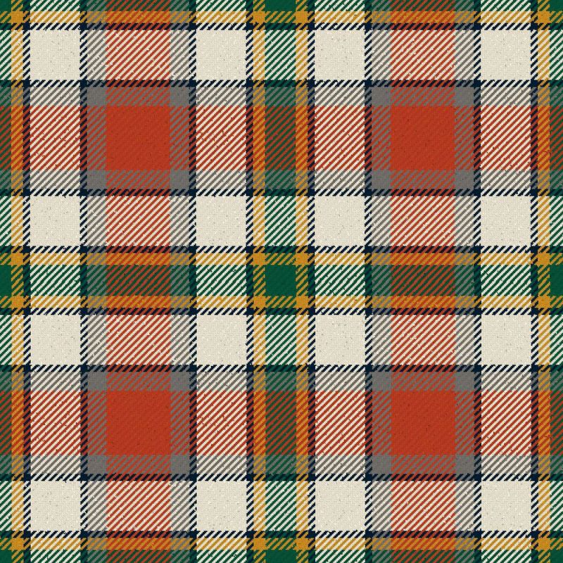 Porcupine City Of Modern Tartan Kilt Porcupine City Of Modern Tartan Kilt