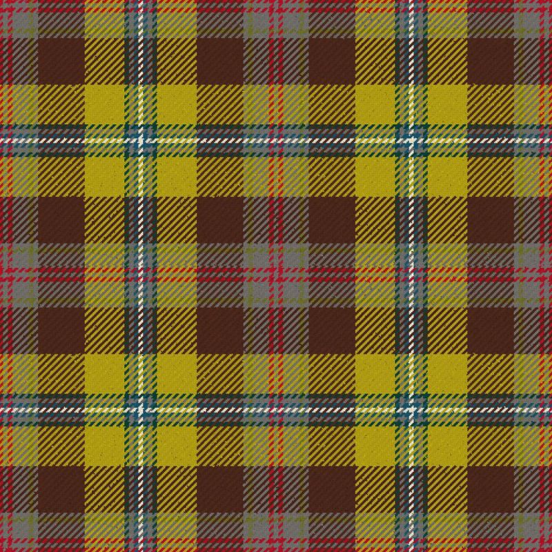 Porcupine Modern Tartan Kilt Porcupine Modern Tartan Kilt
