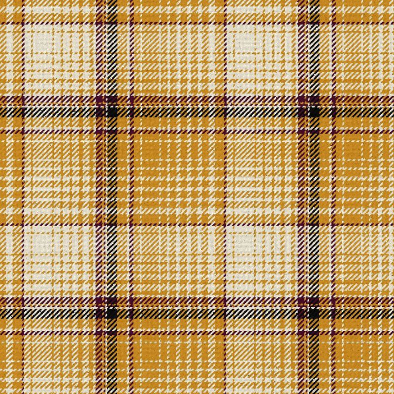 Shapiro Modern Tartan Kilt Shapiro Modern Tartan Kilt
