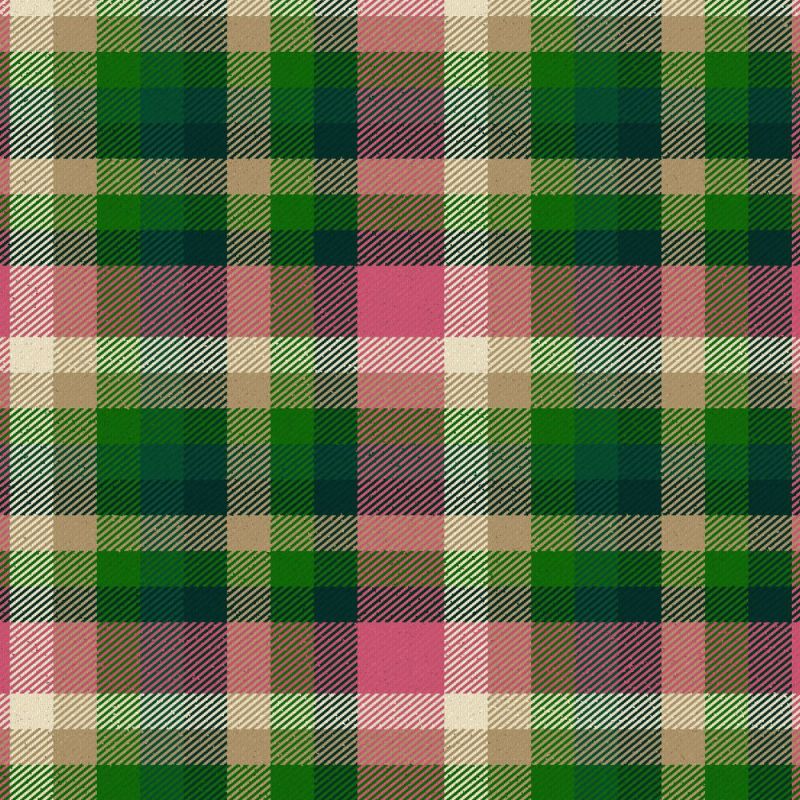 Stirling Millennium Tartan Kilt Stirling Millennium Tartan Kilt