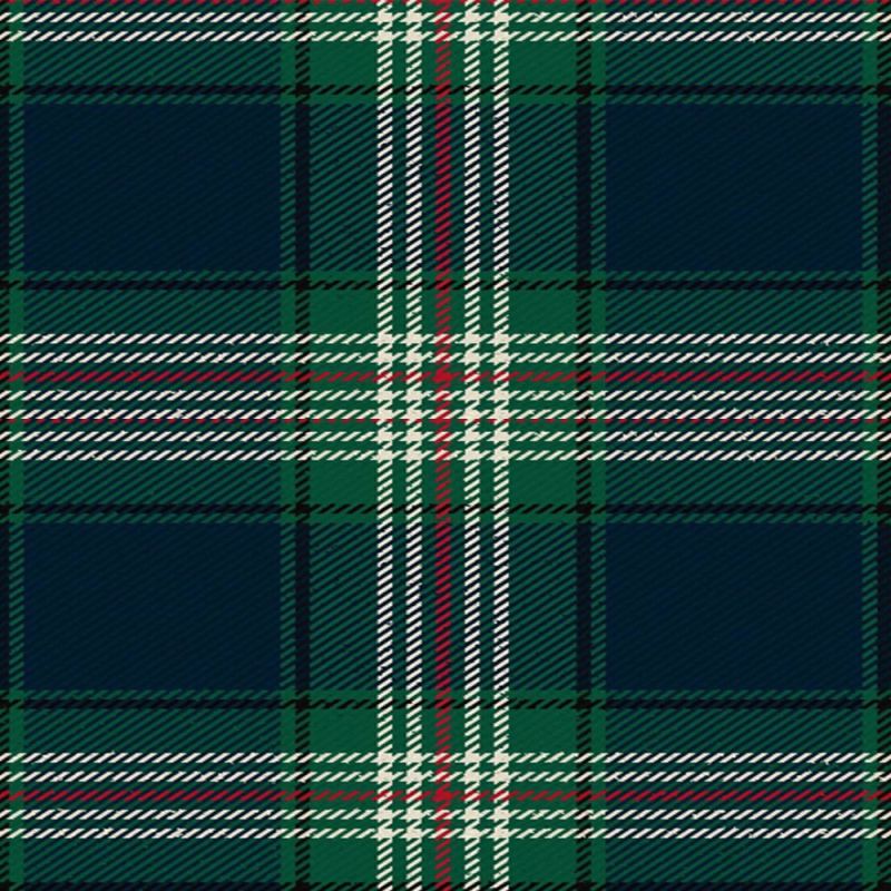 Todd Modern Tartan Kilt Todd Modern Tartan Kilt