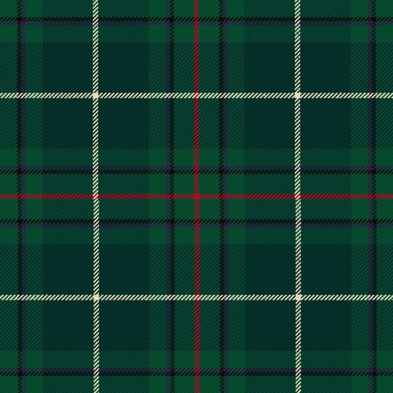 Vipont Modern Tartan Kilt Vipont Modern Tartan Kilt