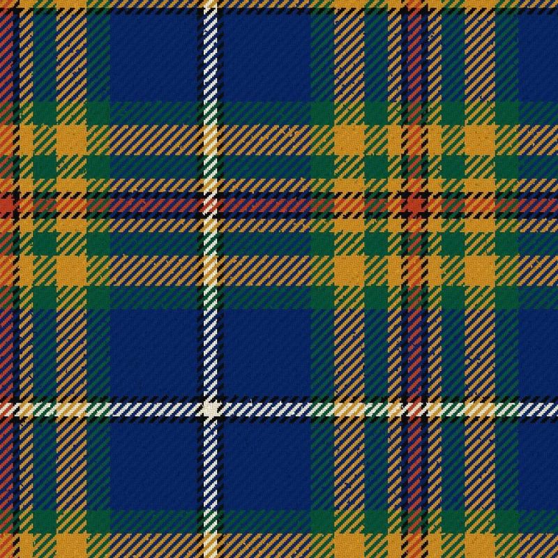 Women's Institute Federated Modern Tartan Kilt Women's Institute Federated Modern Tartan Kilt