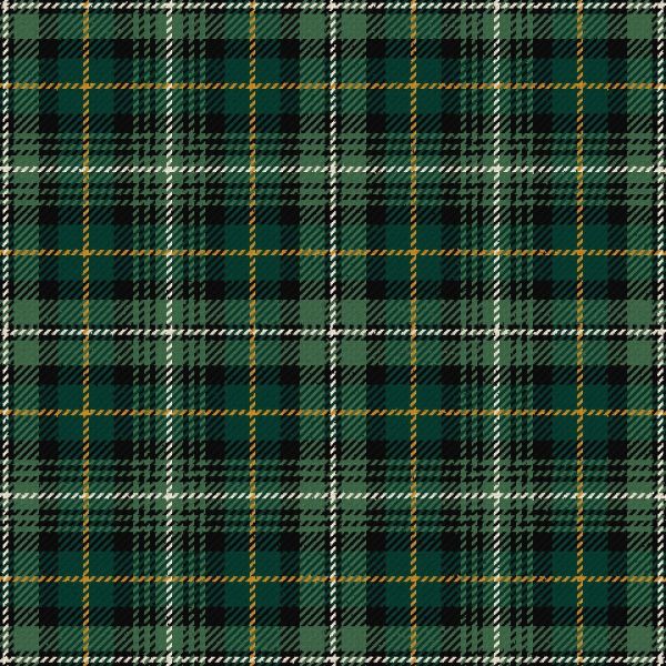 Terre DEcosse Modern Tartan Kilt