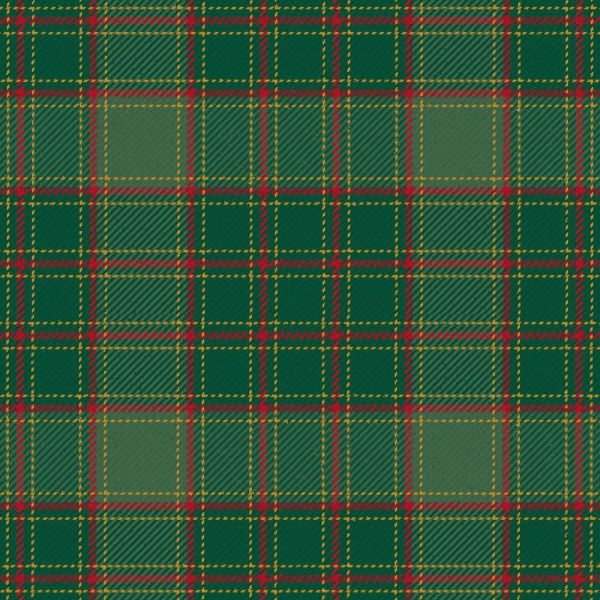 Terry Modern Tartan Kilt