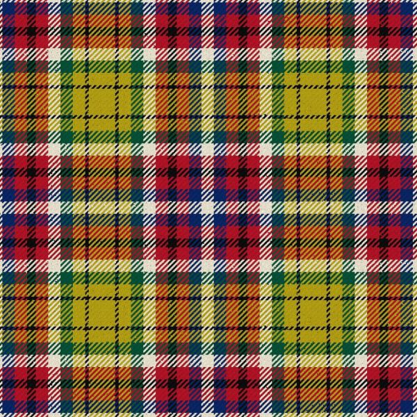 Williams Lake City Tartan Kilt