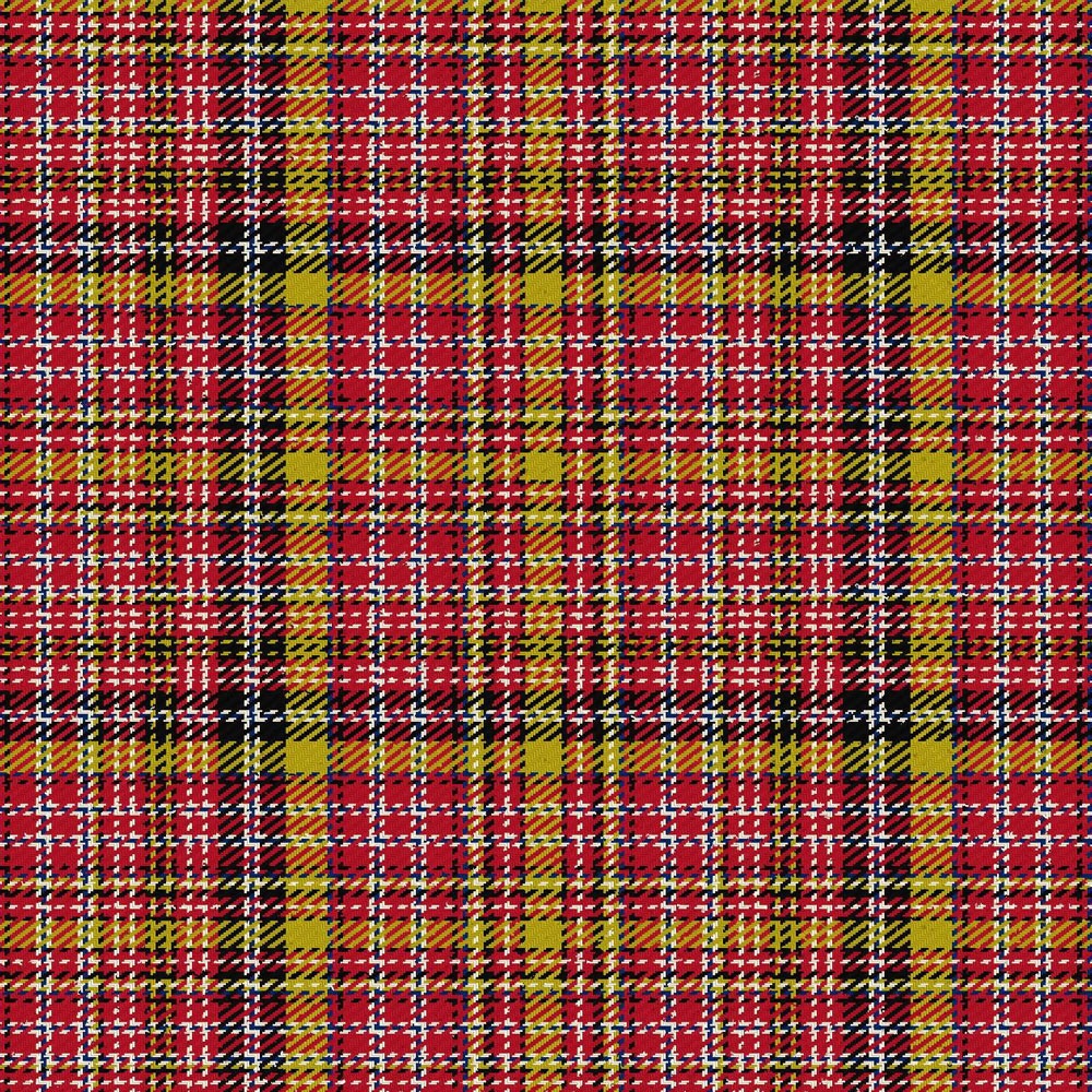 Ogilvie of Strathallan Tartan T-Shirt main image 1